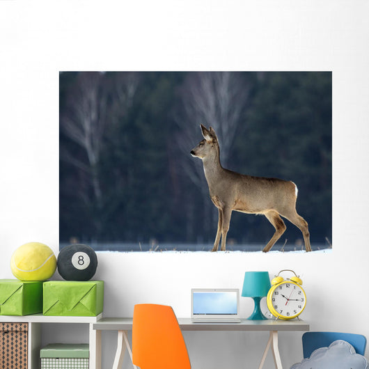 Roe Wall Mural