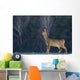 Roe Wall Mural