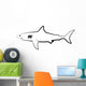 Shark Is Black