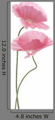 pink poppy Wall Decal