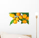 Tangerine Fruit Tree White Wall Decal