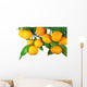 Tangerine Fruit Tree White Wall Decal