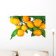 Tangerine Fruit Tree White Wall Decal