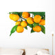 Tangerine Fruit Tree White Wall Decal