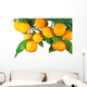 Tangerine Fruit Tree White Wall Decal