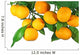 Tangerine Fruit Tree White Wall Decal