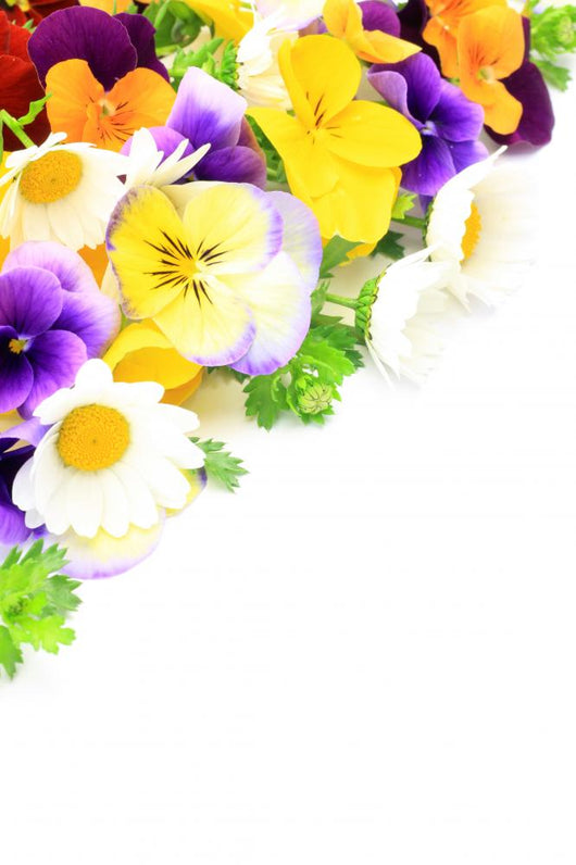 Flower Wall Mural
