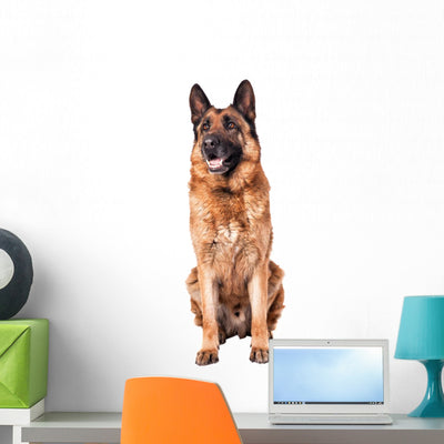 German Shepherd White Wall Decal shown on a wall