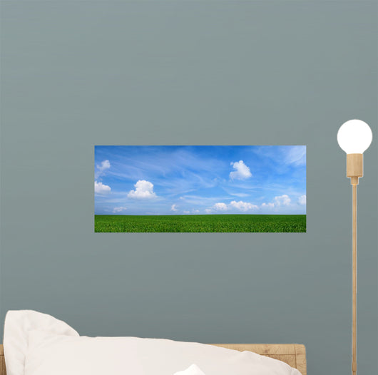 Panoramic Landscape