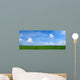 Panoramic Landscape