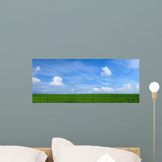 Panoramic Landscape