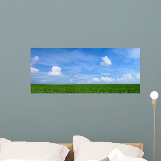 Panoramic Landscape
