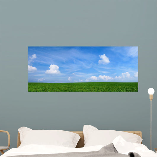 Panoramic Landscape