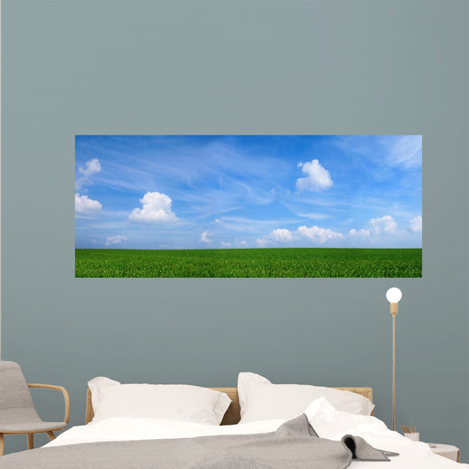 Panoramic Landscape