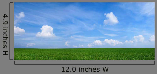 Panoramic Landscape