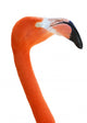 Flamingo Head Wall Decal