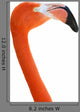 Flamingo Head Wall Decal