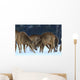 Roe Wall Mural
