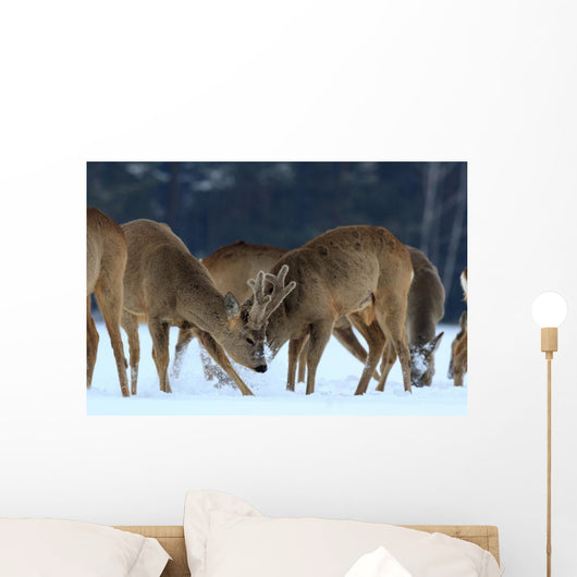 Roe Wall Mural