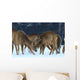 Roe Wall Mural