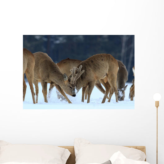 Roe Wall Mural