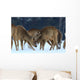 Roe Wall Mural