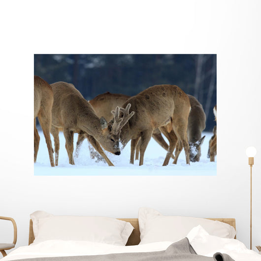 Roe Wall Mural