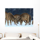 Roe Wall Mural