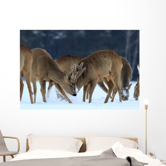 Roe Wall Mural