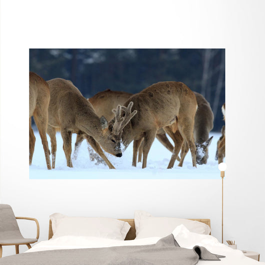 Roe Wall Mural