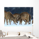 Roe Wall Mural