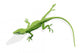 Anolis Lizard Green Wall Decal