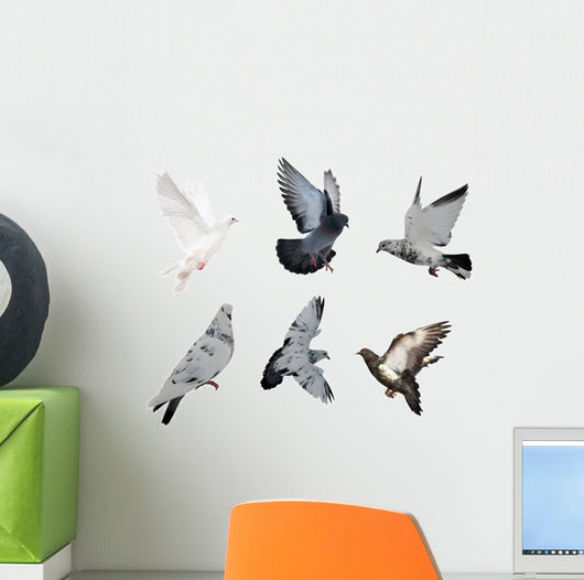 White Six Doves Wall Decal