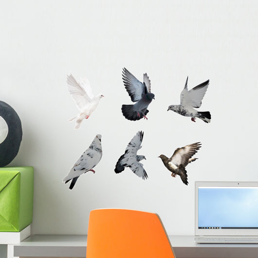 White Six Doves Wall Decal