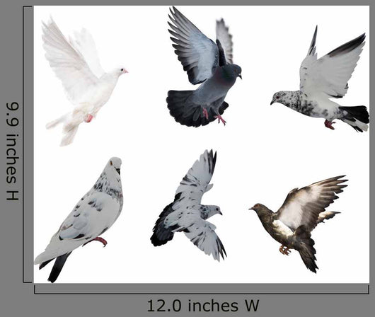 White Six Doves Wall Decal