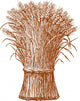 Wheat Wall Decal