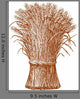 Wheat Wall Decal