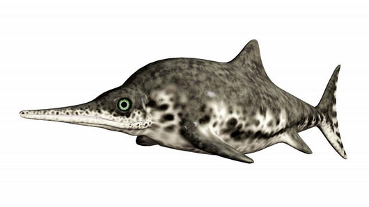 Ichthyosaurier Stenopterygius Wall Mural