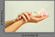 Beautiful woman hands with rose, isolated on white Wall Mural