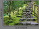 Asian Garden Stone Staircase