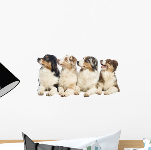 Group Australian Shepherd Wall Decal