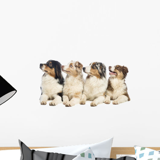 Group Australian Shepherd Wall Decal