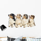Group Australian Shepherd Wall Decal