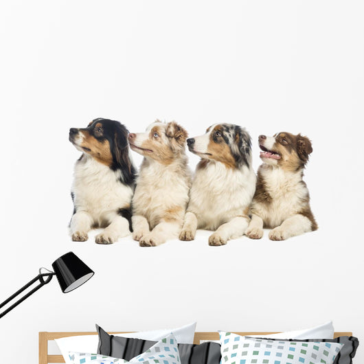 Group Australian Shepherd Wall Decal