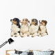 Group Australian Shepherd Wall Decal