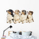 Group Australian Shepherd Wall Decal