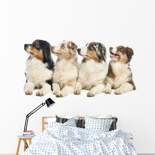 Group Australian Shepherd Wall Decal