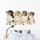 Group Australian Shepherd Wall Decal