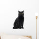 Black Cat Sitting and Looking at Camera Wall Decal