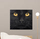 Close-up Black Cat
